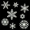 AGS008 snow crystal